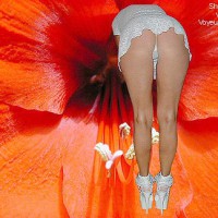 Pic #1RO Hesitant