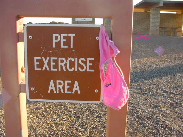 Pic #1Pet Rea