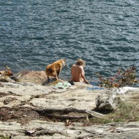Naked Camping