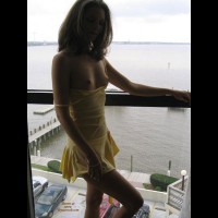 Robin - More Window Dressing