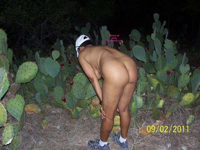 Pic #1 Cactus Blossom