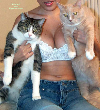 Pic #1 Kitty
