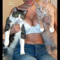 Pic #1 Kitty