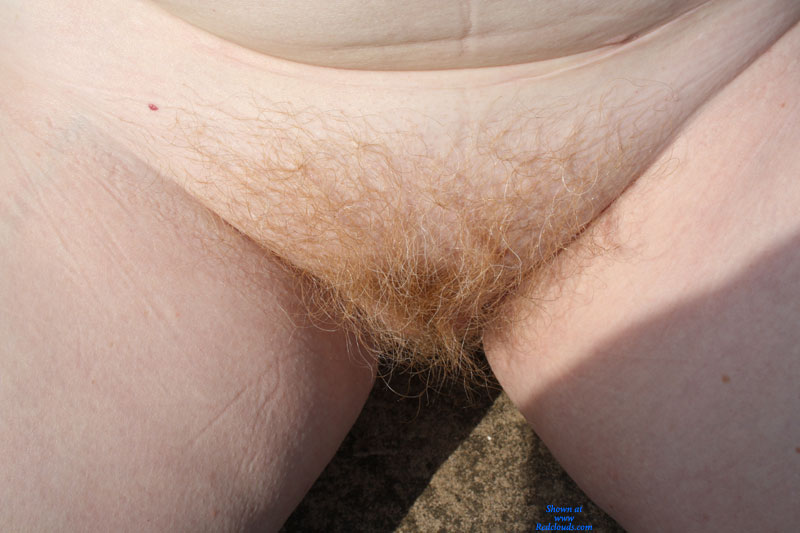 Pic #1Firebush
