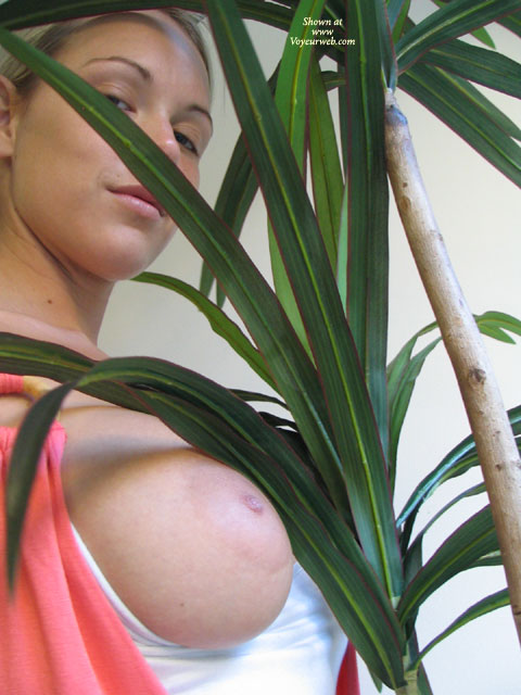 Large Nipples - Large Breasts, Large Nipples , Large Nipples, Large Breasts, Breast Out Of Shirt, Nipple Coming Out, Big Tits