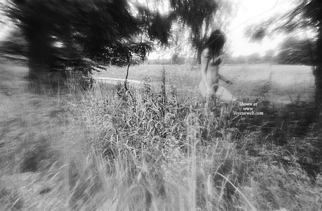 Pic #1A Walk In The Woods