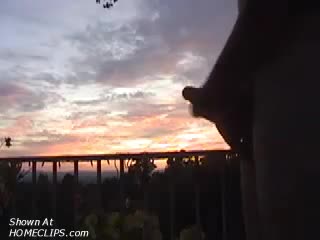 Pic #1Cumming At Sunset