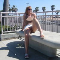 Bee At The Beach