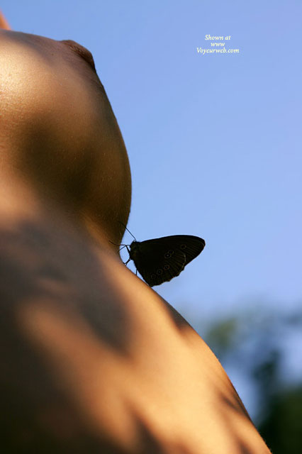 Topless With Butterfly On Body - Nipples , Topless With Butterfly On Body, Sexy Closeups, Nipple Closeup, Art, Butterfly Boob, Nature S Curves, Outdoor Nipple Profile