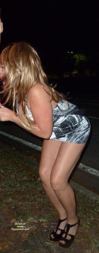 Pic #1More Fun Nights