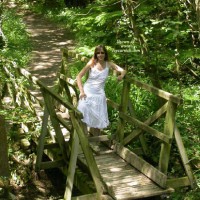 Louise's Woodland Bridge