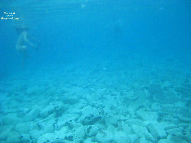 Pic #1Underwater World