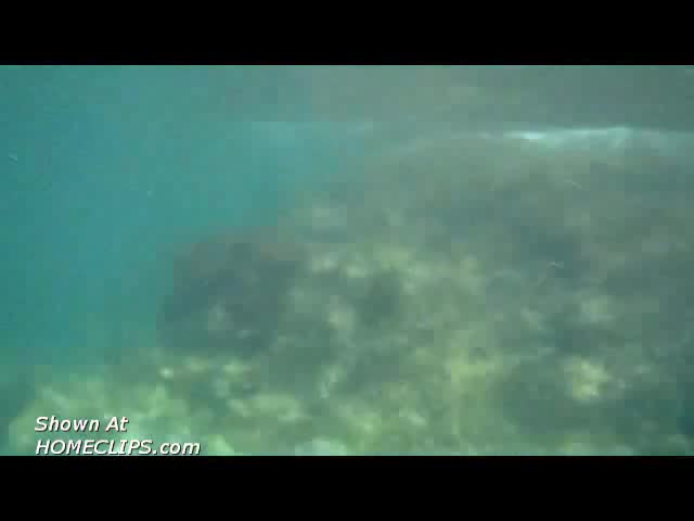 Pic #1Underwater Mermaid