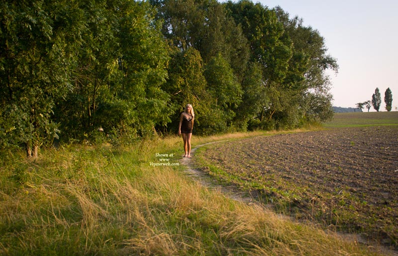 Pic #1Seethrough Walk