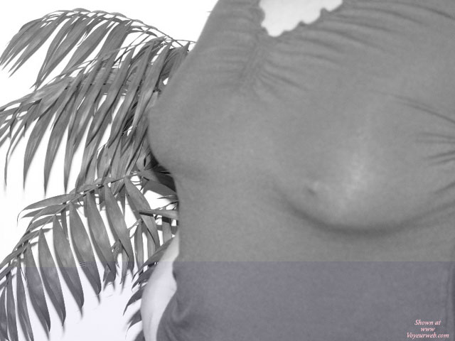 Pic #1Shy Wife Round 2