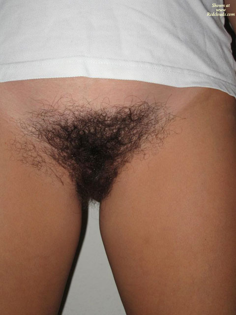 Pic #1Dark Bush