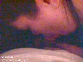 Pic #1The Best Lick