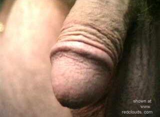 Pic #1Titel