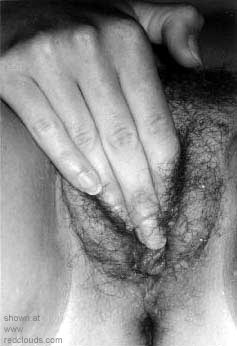 Pic #1So Exited 2