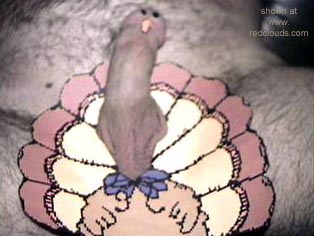 Pic #1Thanksgiving Turkey