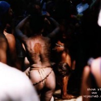 Pic #1 Oregon Country Fair Pt. 12