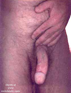 Pic #1M* Faithful Observer