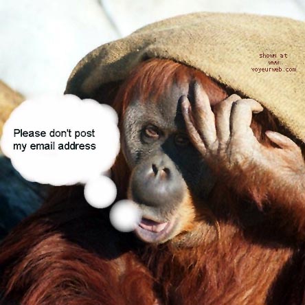 Pic #1Bourbon Street 6