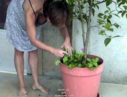 Pic #1Annie Fannie Lets'em Hang