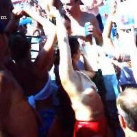 Party      Cove#11