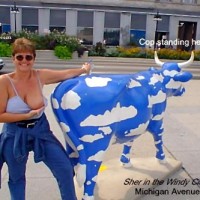 Sher in the Windy City
