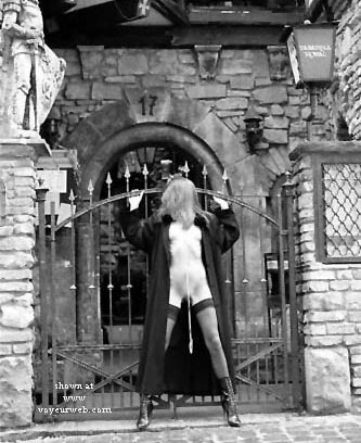 Pic #1German Long Legs Part II