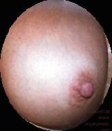 Pic #1Have a Nip or two