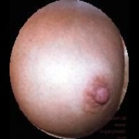 Have a Nip or two