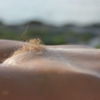 Blond Pussy Hair - Blonde Hair, Landing Strip, Red Hair , Wet Pussy, Red Pussy, Blonde Pussy, Hairy Drops, Wet Pubic Hair, Red Landing Strip, Blond Pubic Hair, Highlighted Hair