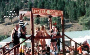 Pic #1Testicle Festival