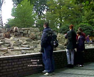 Pic #1 Caught These Two 2 In The Zoo
