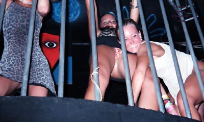 Pic #1beast of prey cage