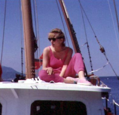 Pic #1War of the Voyeurs