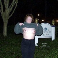 Honeymoon at Disney