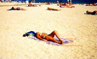 Pic #1Mardi and More