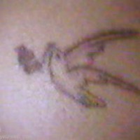Pic #1 Tatoo