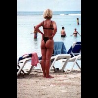 Pic #1 Domenican II