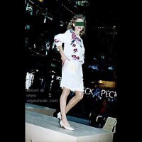 The      Photographers