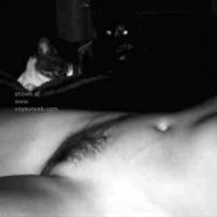 I      could not resist