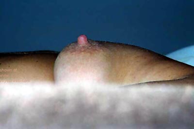 Pic #1Wife      Collection 2