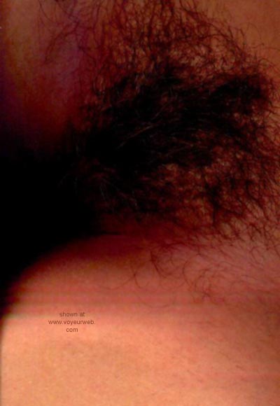 Pic #1 Internet      Scanner