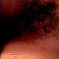 Internet      Scanner