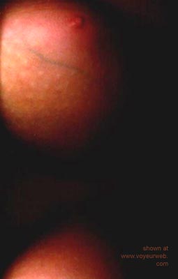 Pic #1Internet      Scanner II