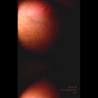 Pic #1 Internet      Scanner II