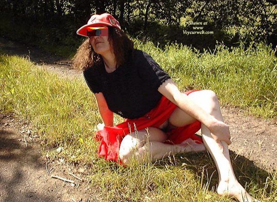 Pic #1 Rose Is Back..rose Ist Zurueck..